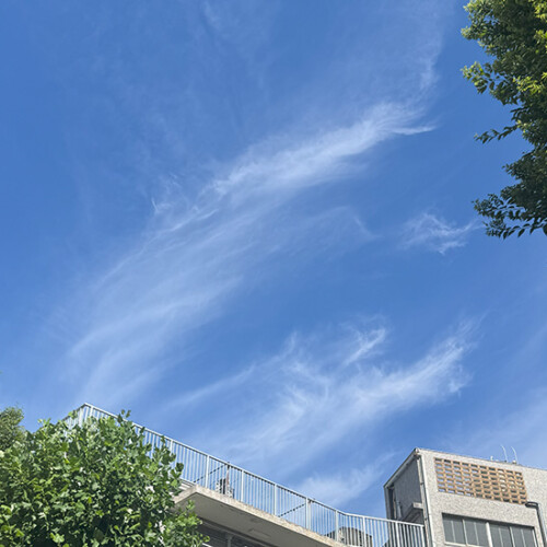 クリスタルセレクト、開催しました