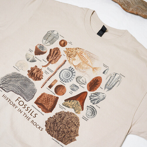 すべすべの石、鉱石Tシャツとポーチ